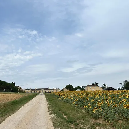 Chateau D'arcamont ベッド・アンド・ブレックファスト Roquelaure