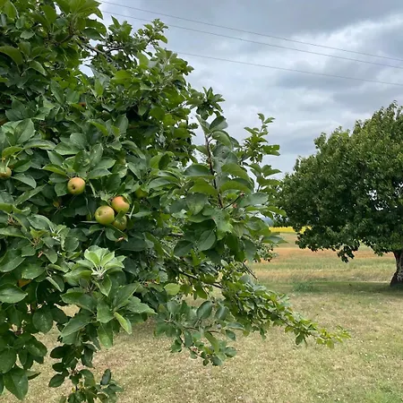Panzió Chateau D'arcamont