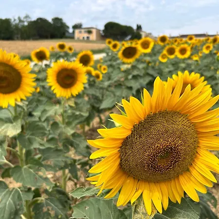 Chateau D'arcamont Panzió